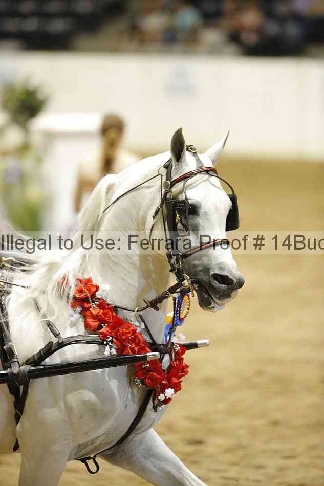Proof 14buck_5608