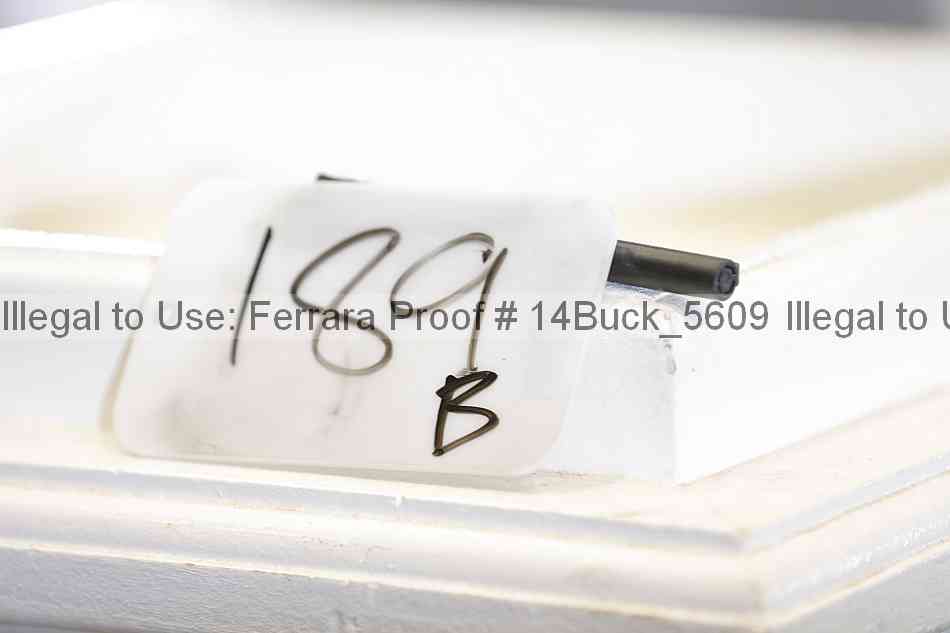 Proof 14buck_5609
