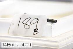 14buck_5609 proof