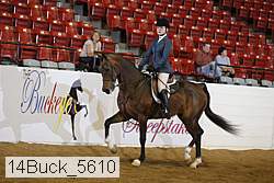 14buck_5610 proof