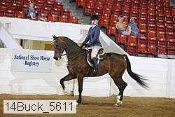 14buck_5611 proof
