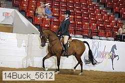14buck_5612 proof