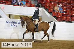 14buck_5613 proof