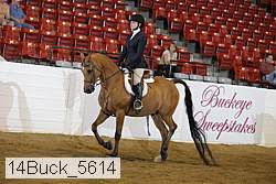 14buck_5614 proof