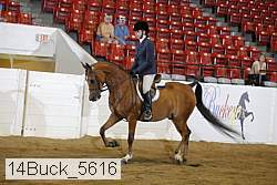 14buck_5616 proof