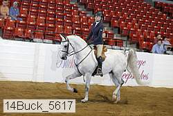 14buck_5617 proof