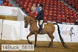 14buck_5618 proof