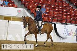14buck_5619 proof