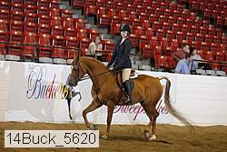 14buck_5620 proof