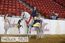 14buck_5628 proof