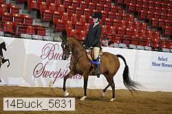 14buck_5631 proof