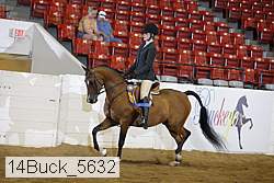 14buck_5632 proof