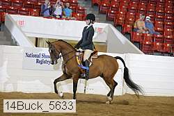 14buck_5633 proof