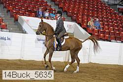 14buck_5635 proof