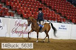 14buck_5636 proof