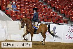 14buck_5637 proof