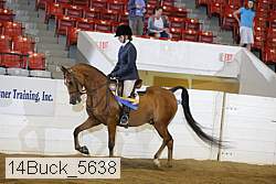 14buck_5638 proof