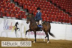 14buck_5639 proof