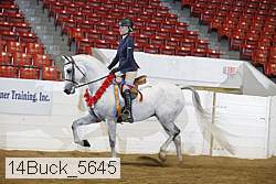 14buck_5645 proof