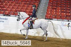 14buck_5646 proof