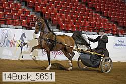 14buck_5651 proof