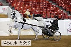 14buck_5653 proof