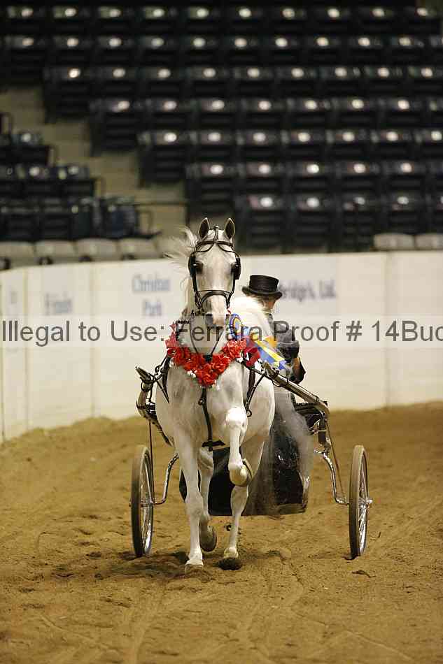 Proof 14buck_5657
