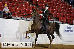 14buck_5661 proof