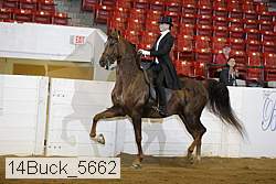14buck_5662 proof