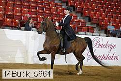 14buck_5664 proof