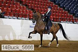 14buck_5666 proof