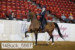 14buck_5667 proof