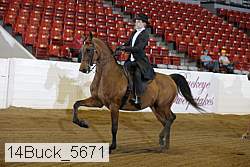 14buck_5671 proof