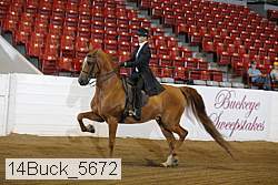 14buck_5672 proof