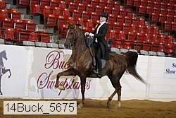 14buck_5675 proof