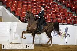 14buck_5676 proof