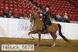 14buck_5679 proof