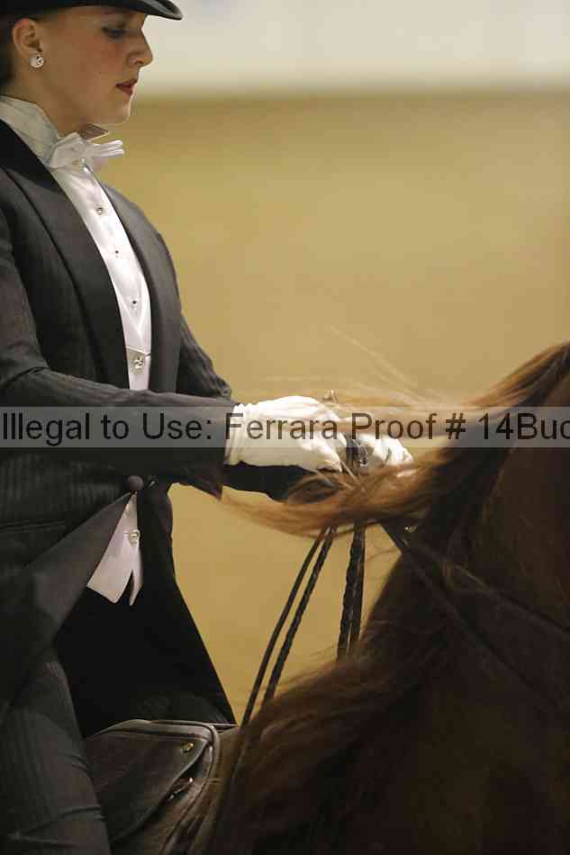 Proof 14buck_5680