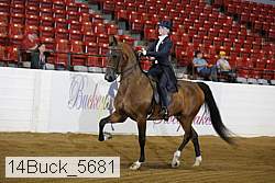 14buck_5681 proof