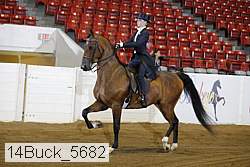 14buck_5682 proof