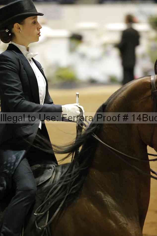 Proof 14buck_5683