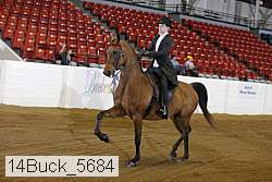14buck_5684 proof