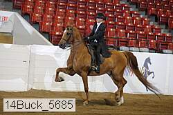 14buck_5685 proof