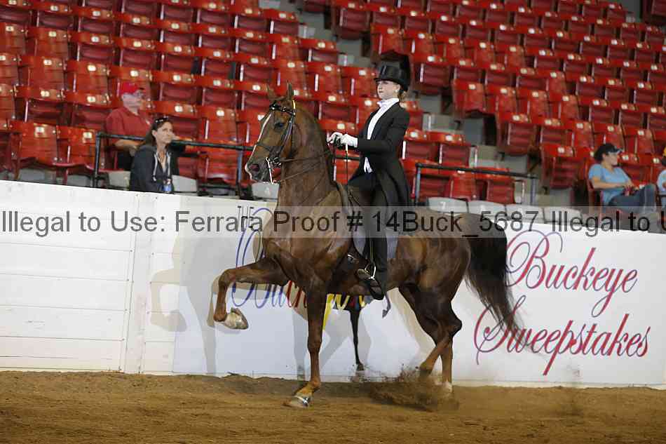 Proof 14buck_5687