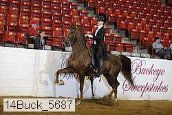 14buck_5687 proof