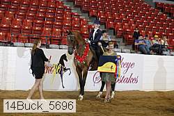 14buck_5696 proof