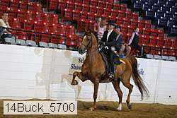14buck_5700 proof