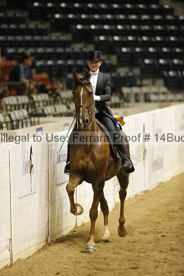 Proof 14buck_5701