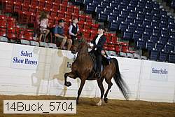 14buck_5704 proof