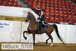 14buck_5705 proof